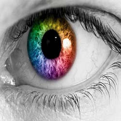 Color Blindness